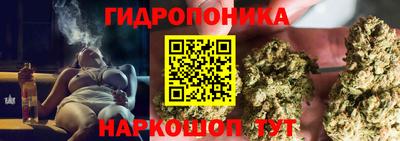 PSILOCYBIN Владивосток