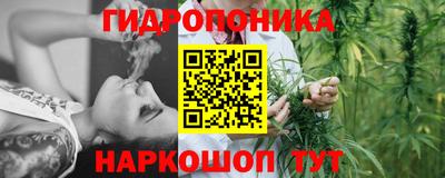 PSILOCYBIN Владивосток