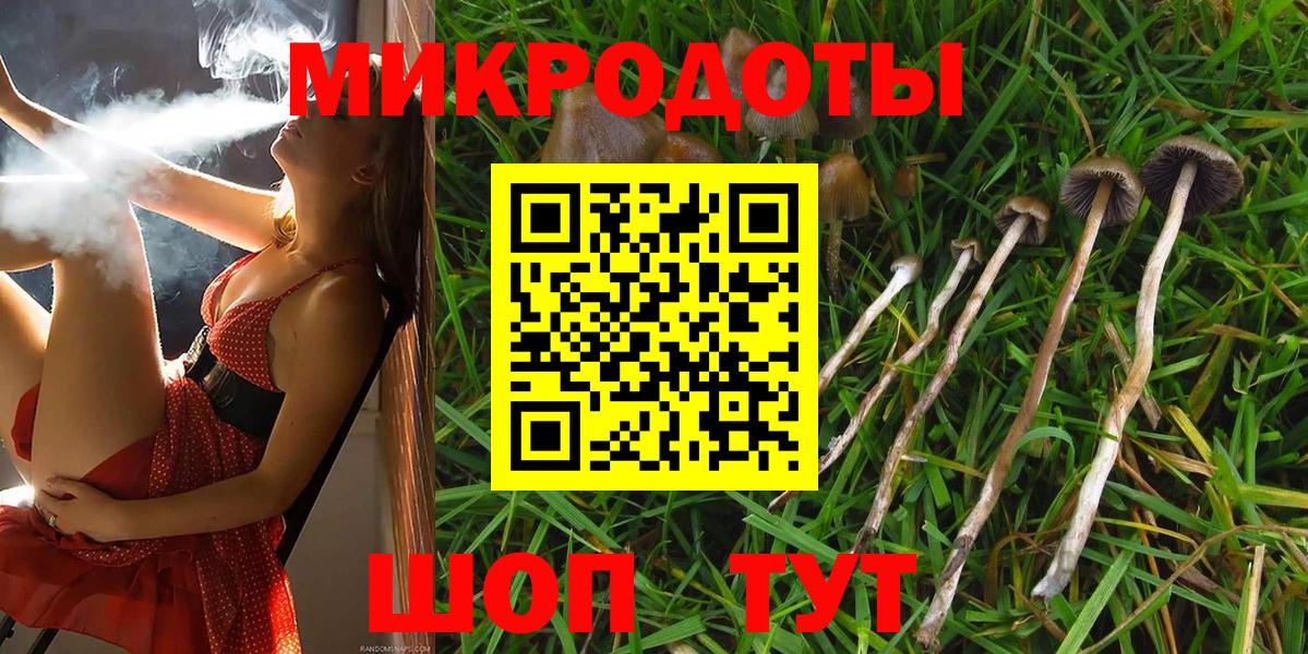 Галлюциногенные грибы мухоморы Губаха