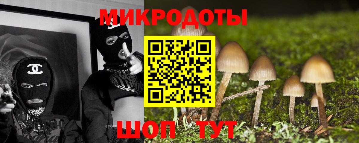Псилоцибиновые грибы ЛСД  купить  цена  Губаха  Вход с VPN 