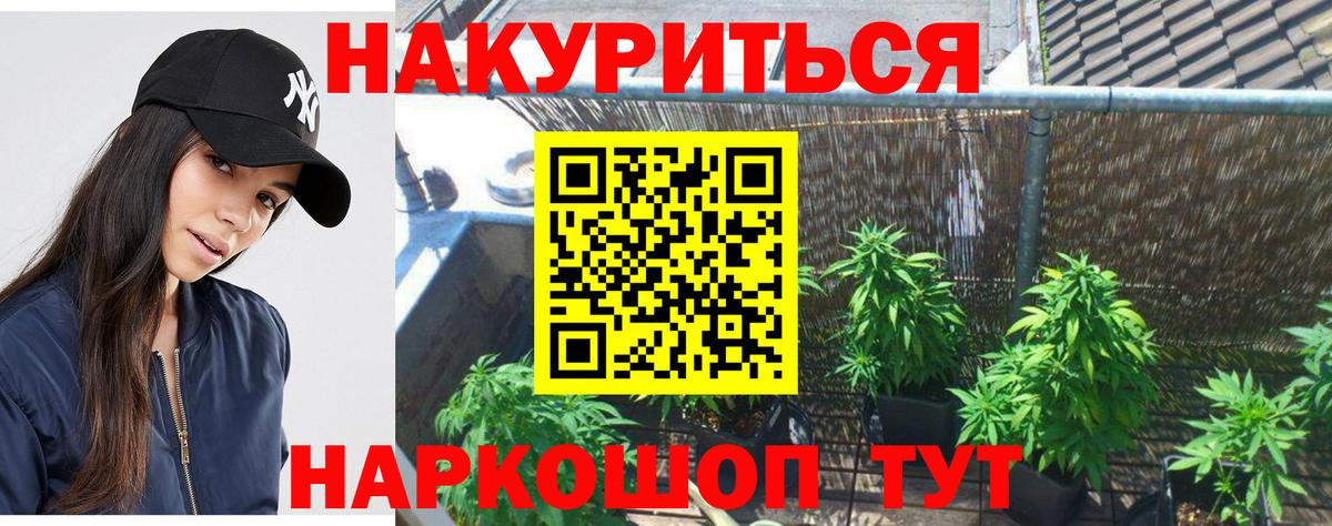 Бошки марихуана гибрид  Бошки марихуана SATIVA & INDICA  Губаха  Вход с VPN  Бошки Шишки Ganja 